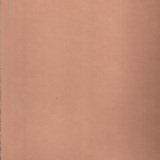 FDPL19001